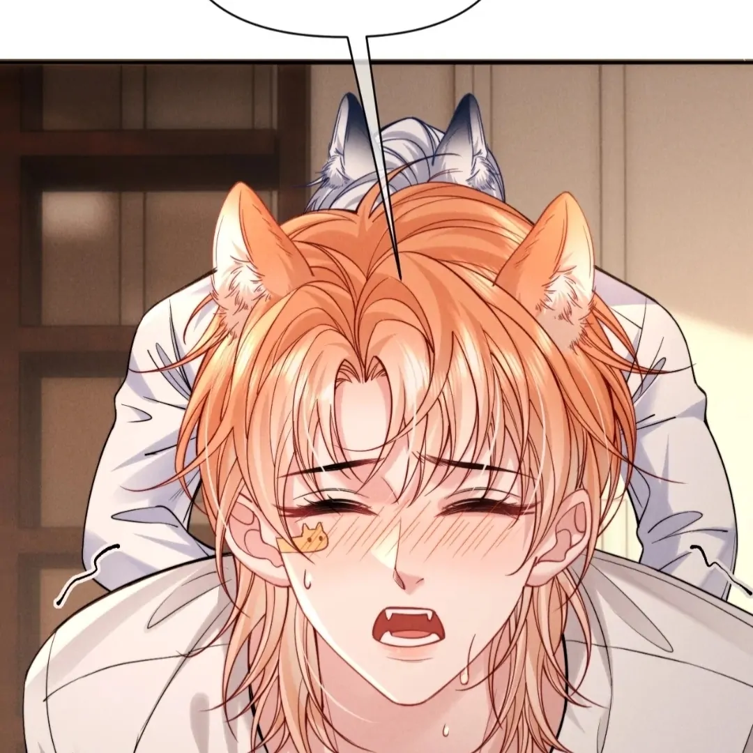 Toxic Adoration [Official] - Chapter 49 manhwa