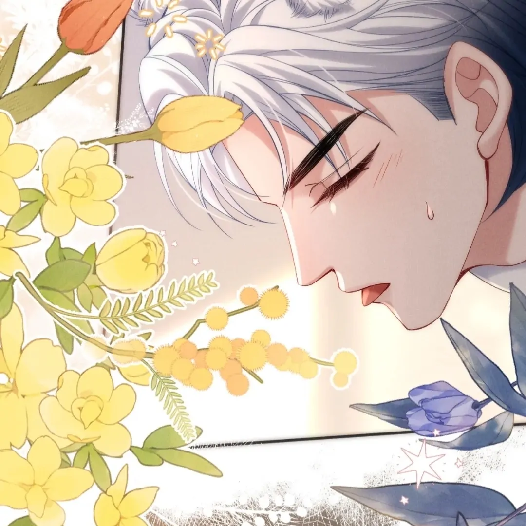 Toxic Adoration [Official] - Chapter 49 manhwa