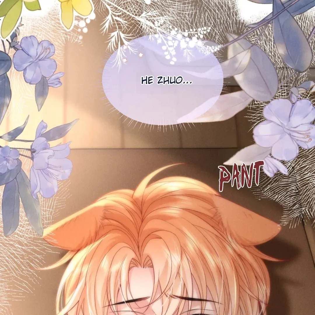 Toxic Adoration [Official] - Chapter 49 manhwa