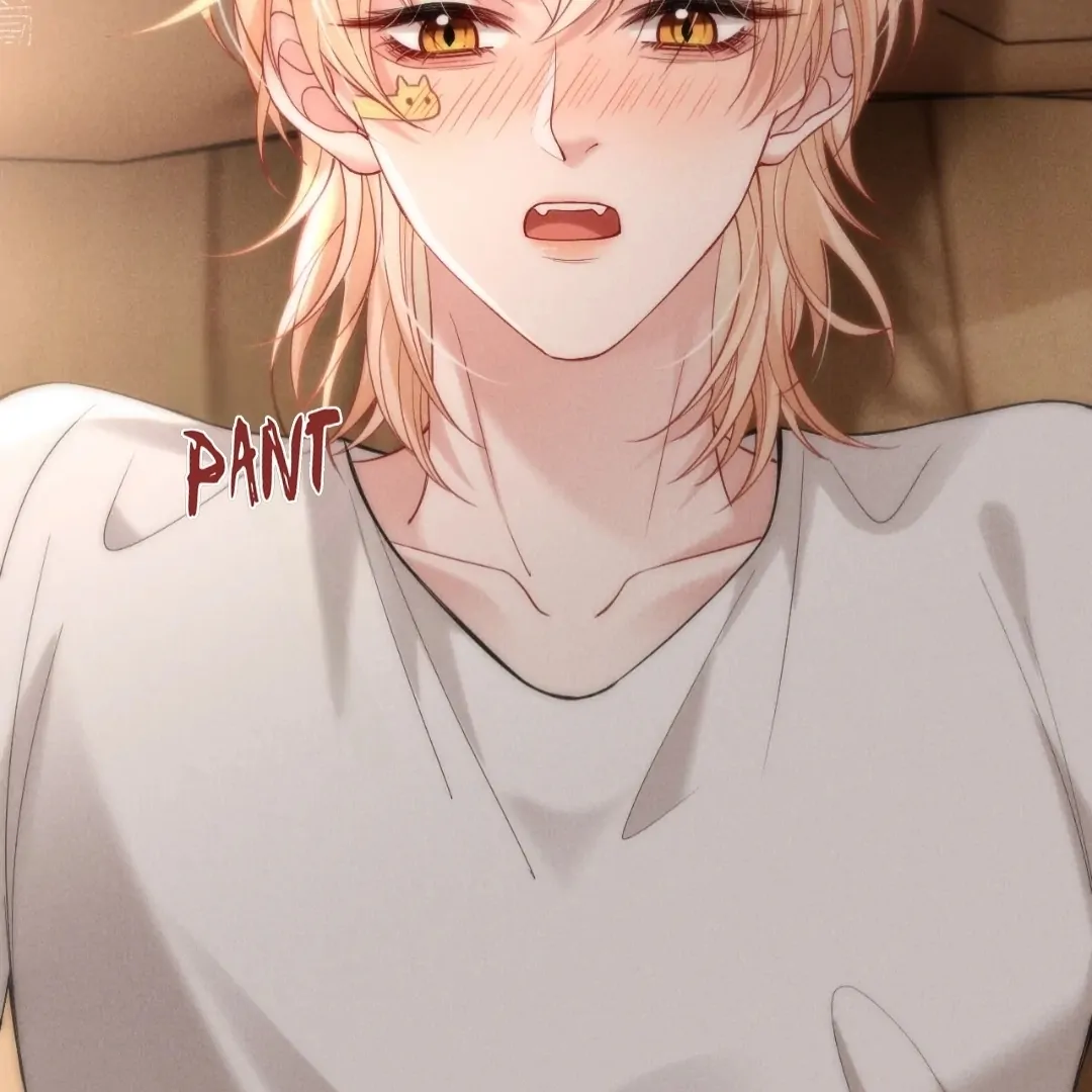 Toxic Adoration [Official] - Chapter 49 manhwa