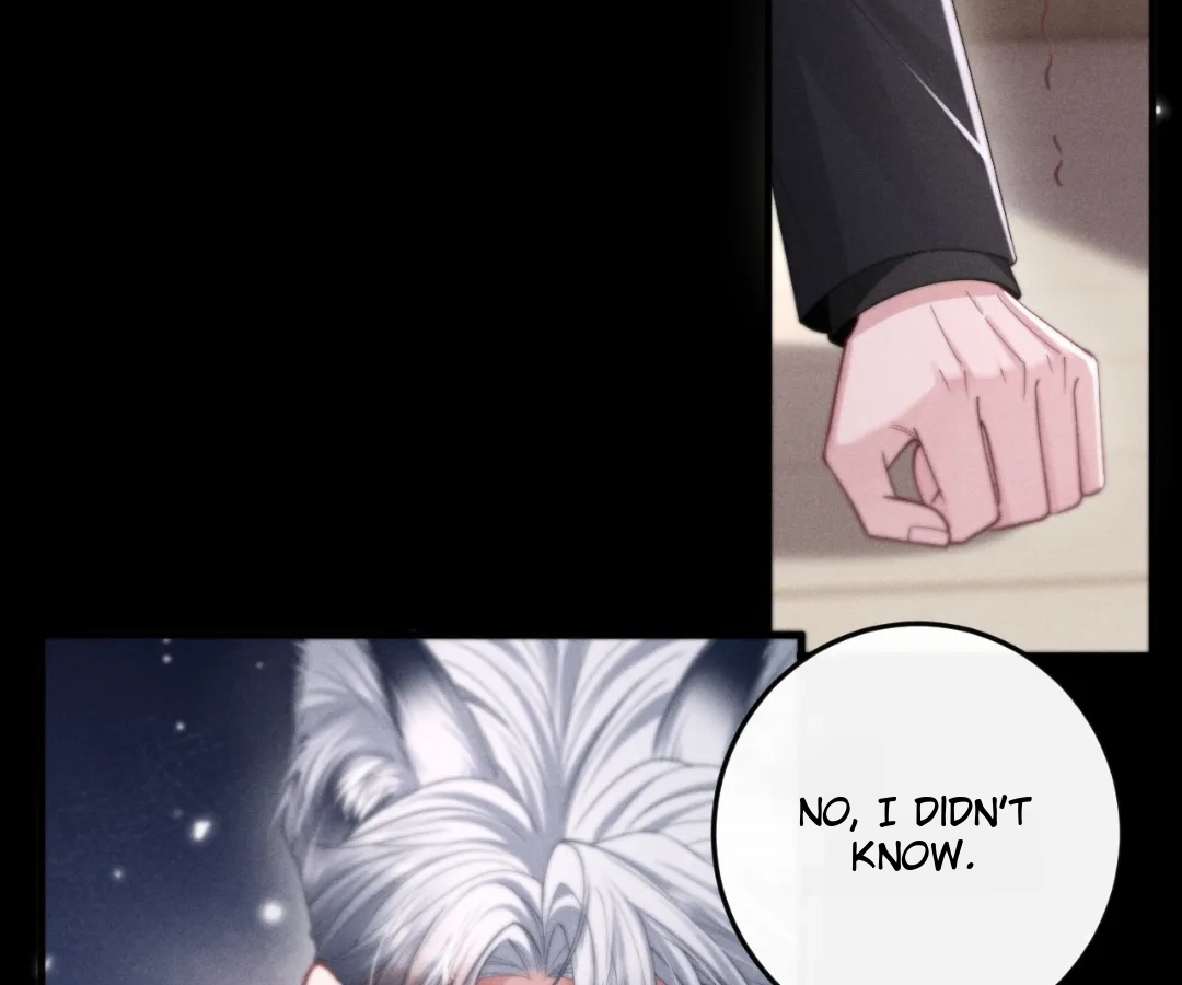 Toxic Adoration [Official] - Chapter 5 manhwa