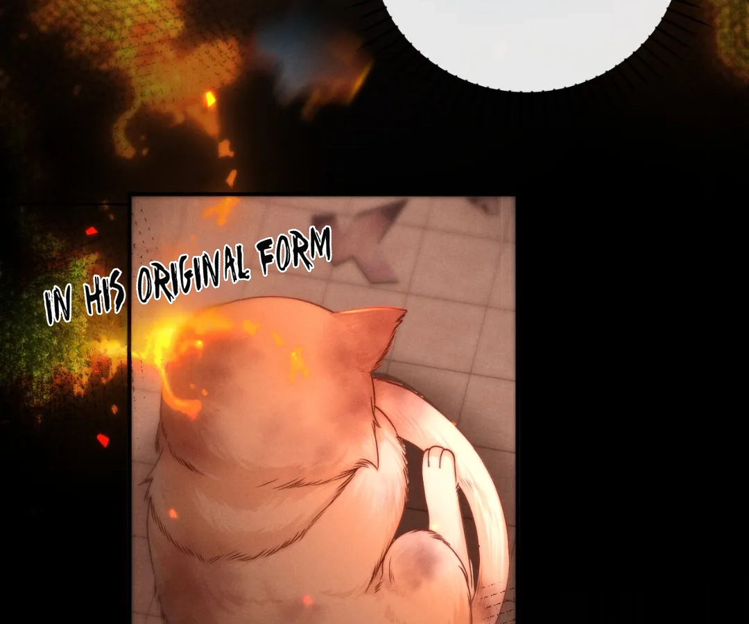 Toxic Adoration [Official] - Chapter 5 manhwa