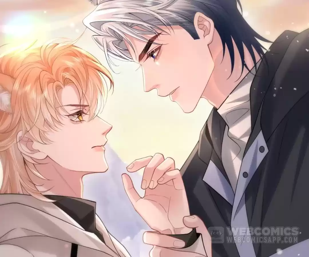 Toxic Adoration [Official] - Chapter 8 manhwa