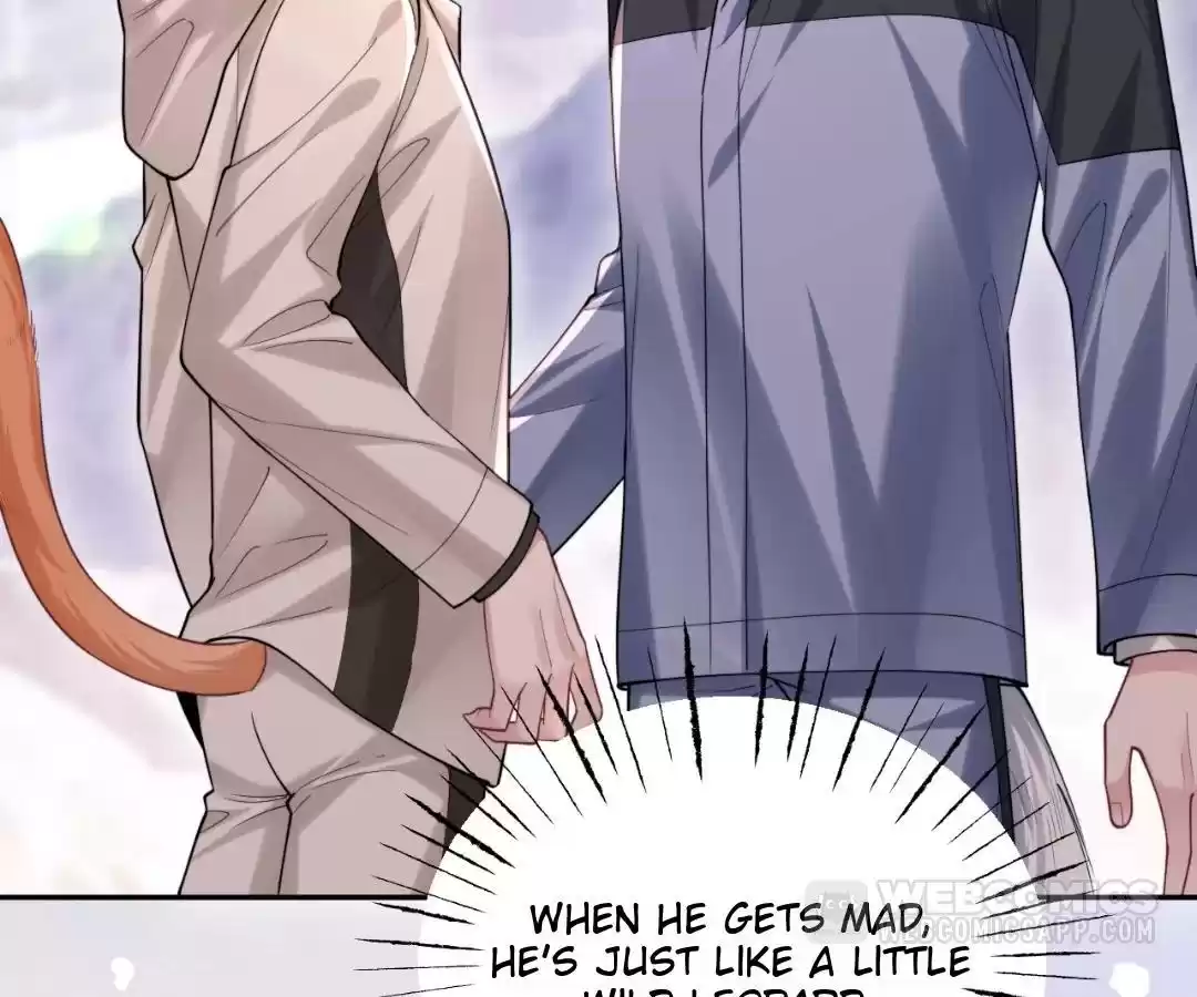 Toxic Adoration [Official] - Chapter 8 manhwa