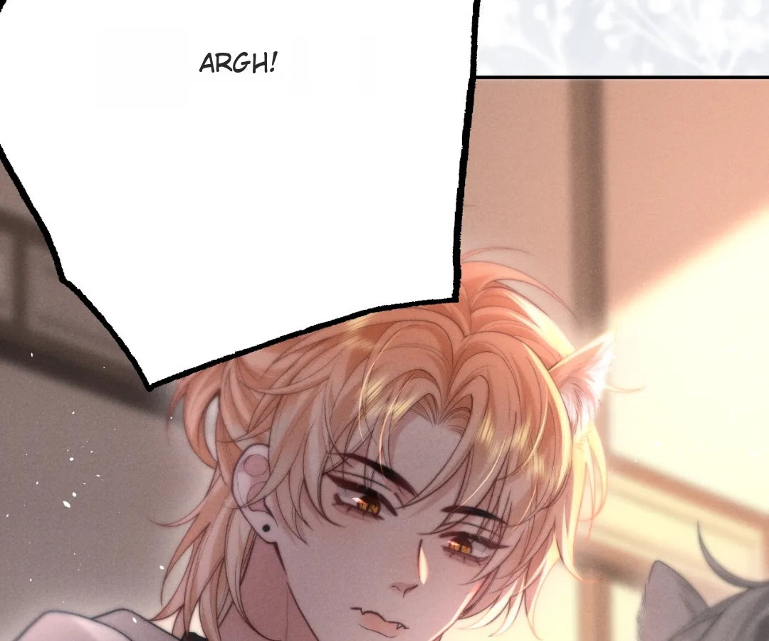 Toxic Adoration [Official] - Chapter 8 manhwa
