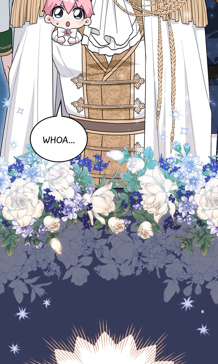 The Duke’s Plush Obsession [Full ver.] - Chapter 13 manhwa