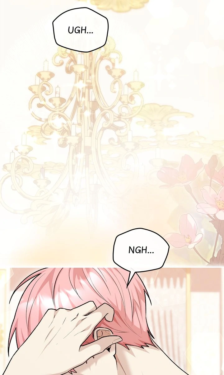 The Duke’s Plush Obsession [Full ver.] - Chapter 14 manhwa