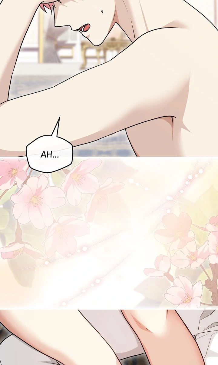 The Duke’s Plush Obsession [Full ver.] - Chapter 14 manhwa