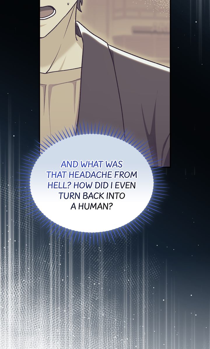 The Duke’s Plush Obsession [Full ver.] - Chapter 15 manhwa