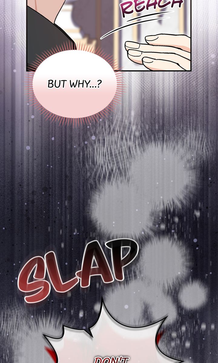 The Duke’s Plush Obsession [Full ver.] - Chapter 16 manhwa