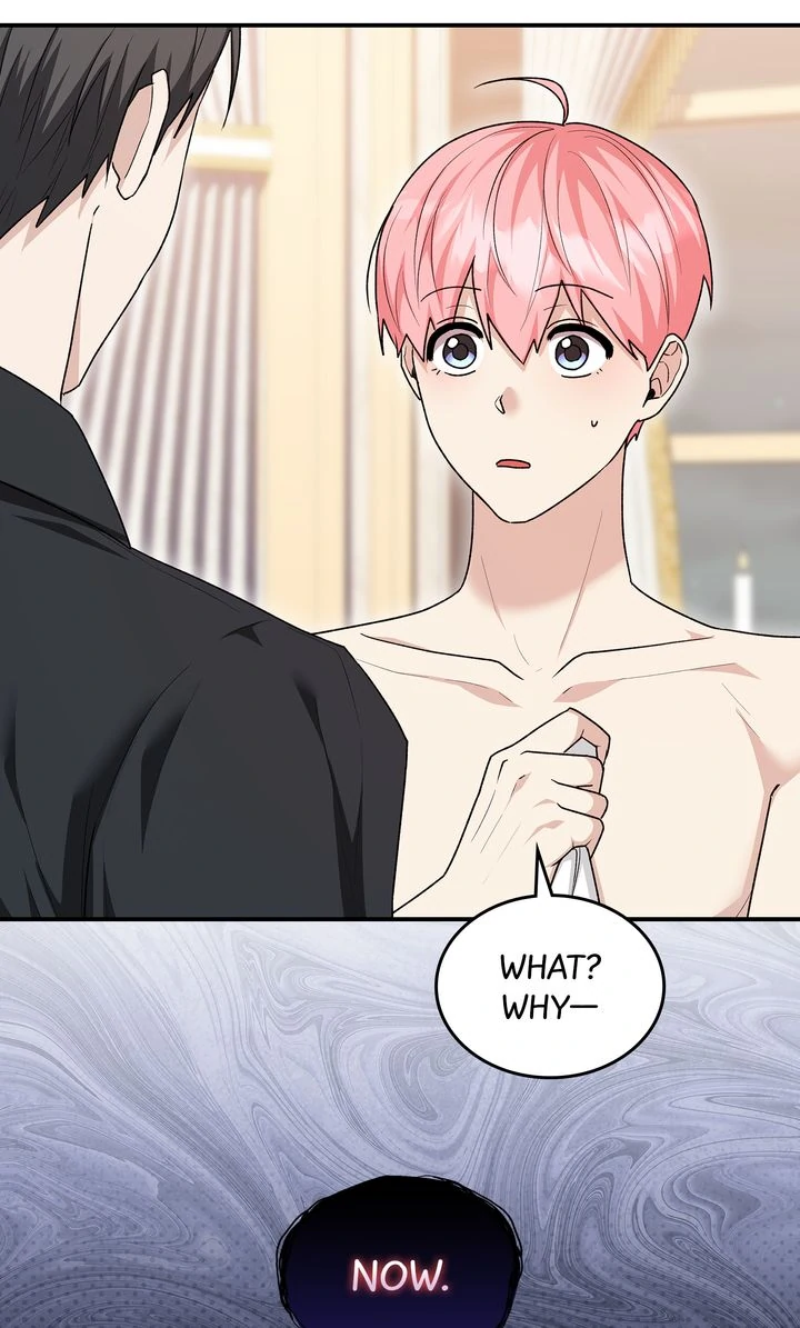 The Duke’s Plush Obsession [Full ver.] - Chapter 16 manhwa