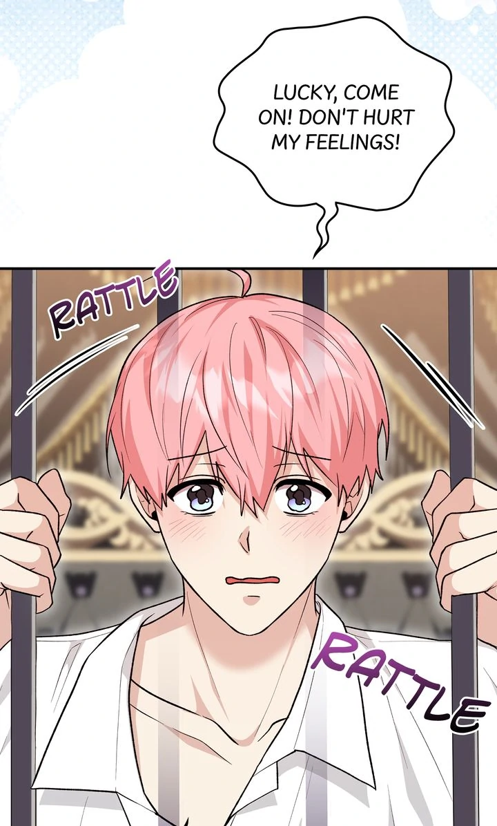 The Duke’s Plush Obsession [Full ver.] - Chapter 16 manhwa
