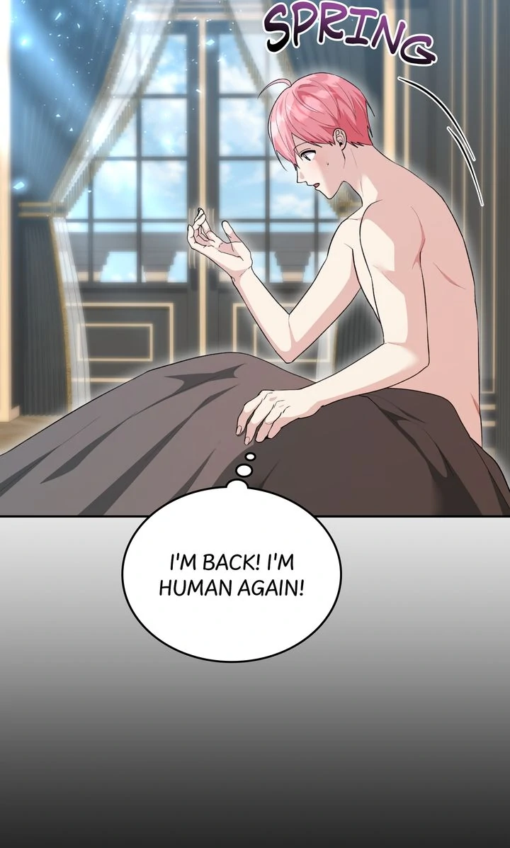The Duke’s Plush Obsession [Full ver.] - Chapter 29 manhwa