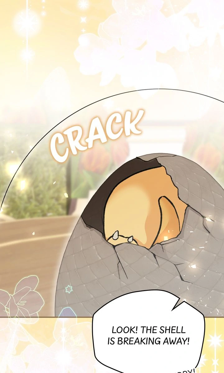 The Duke’s Plush Obsession [Full ver.] - Chapter 7 manhwa