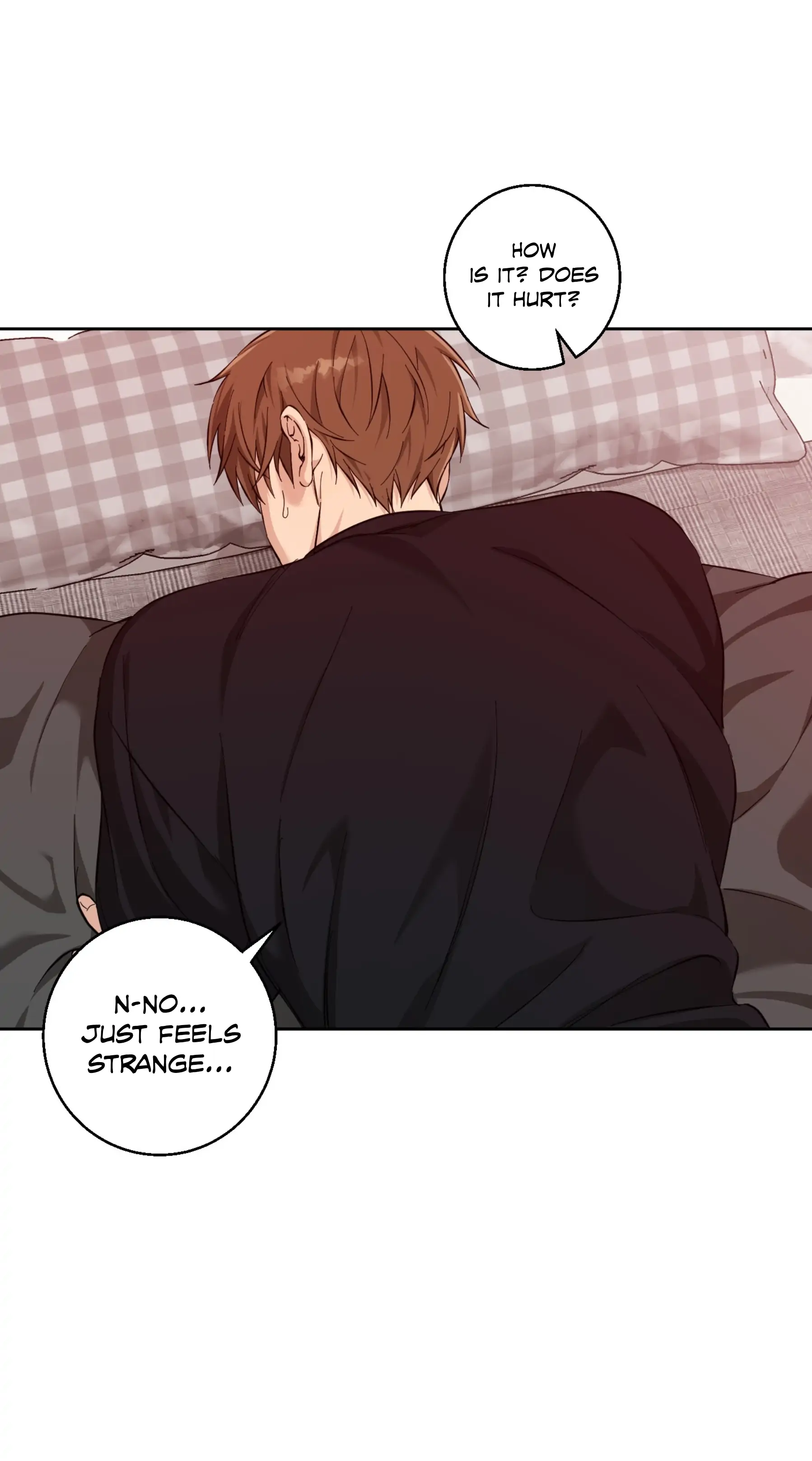 Melting Flirting Cookie (Mature) [Official] - Ch. 11 🔞🔞🔞🔞🔞 manhwa
