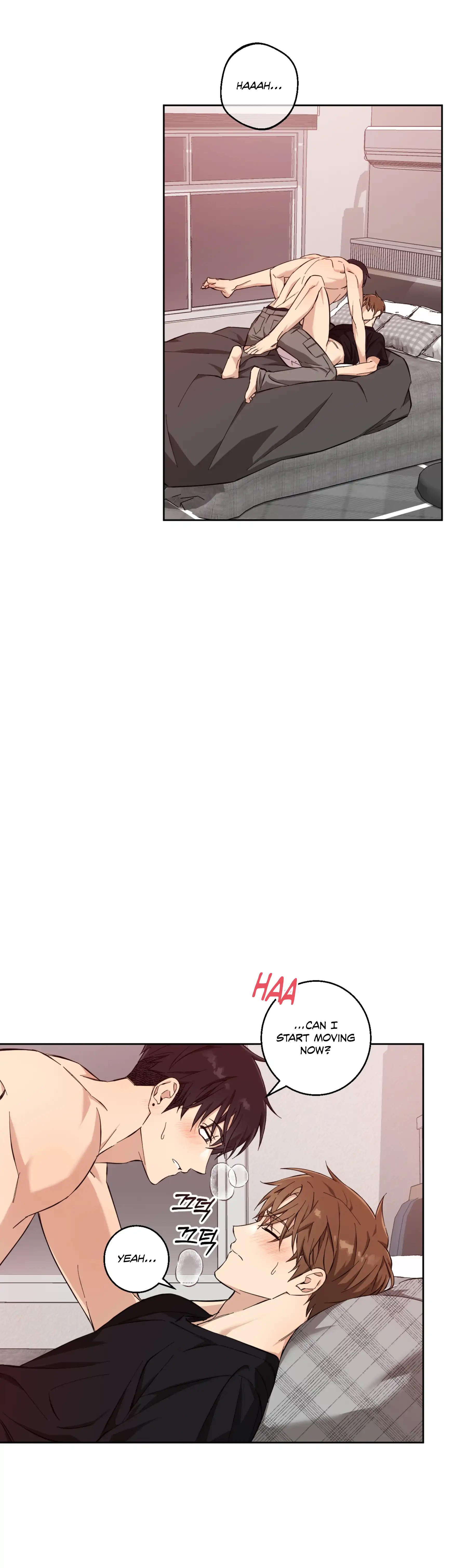 Melting Flirting Cookie (Mature) [Official] - Ch. 12 🔞🔞🔞🔞🔞 manhwa