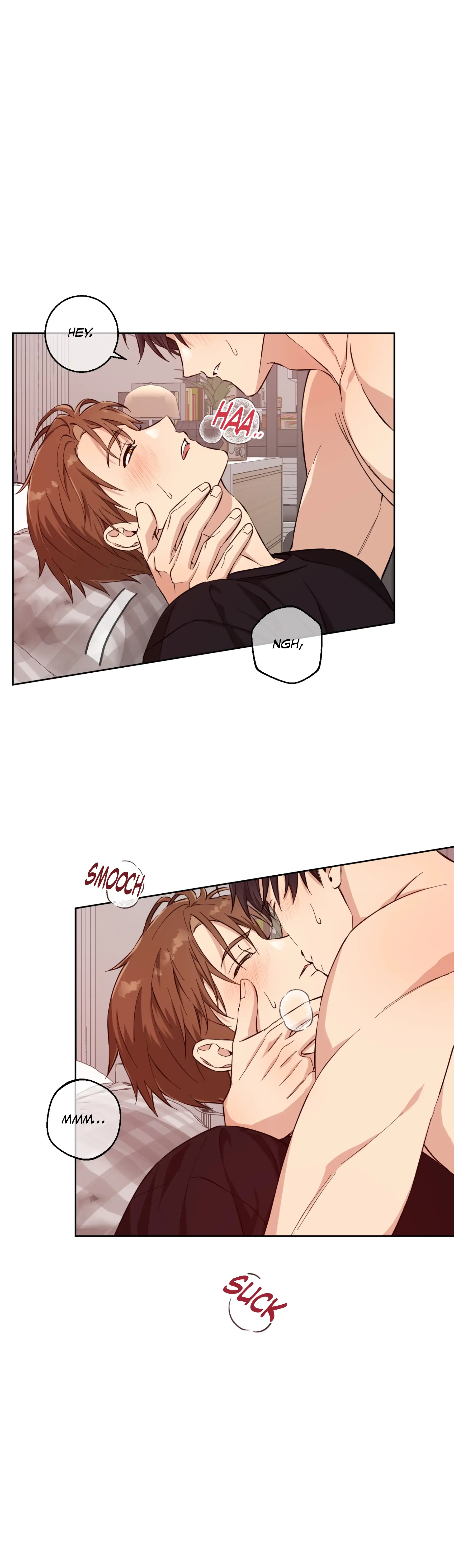 Melting Flirting Cookie (Mature) [Official] - Ch. 12 🔞🔞🔞🔞🔞 manhwa