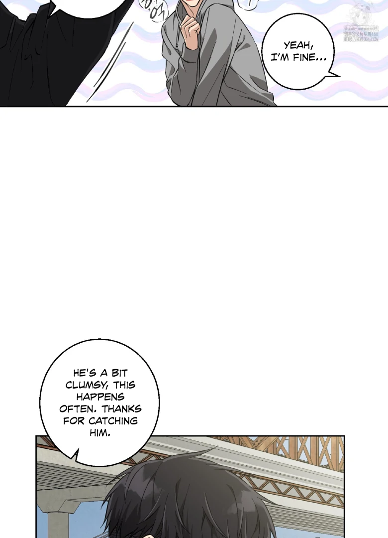 Melting Flirting Cookie (Mature) [Official] - Ch. 3 manhwa