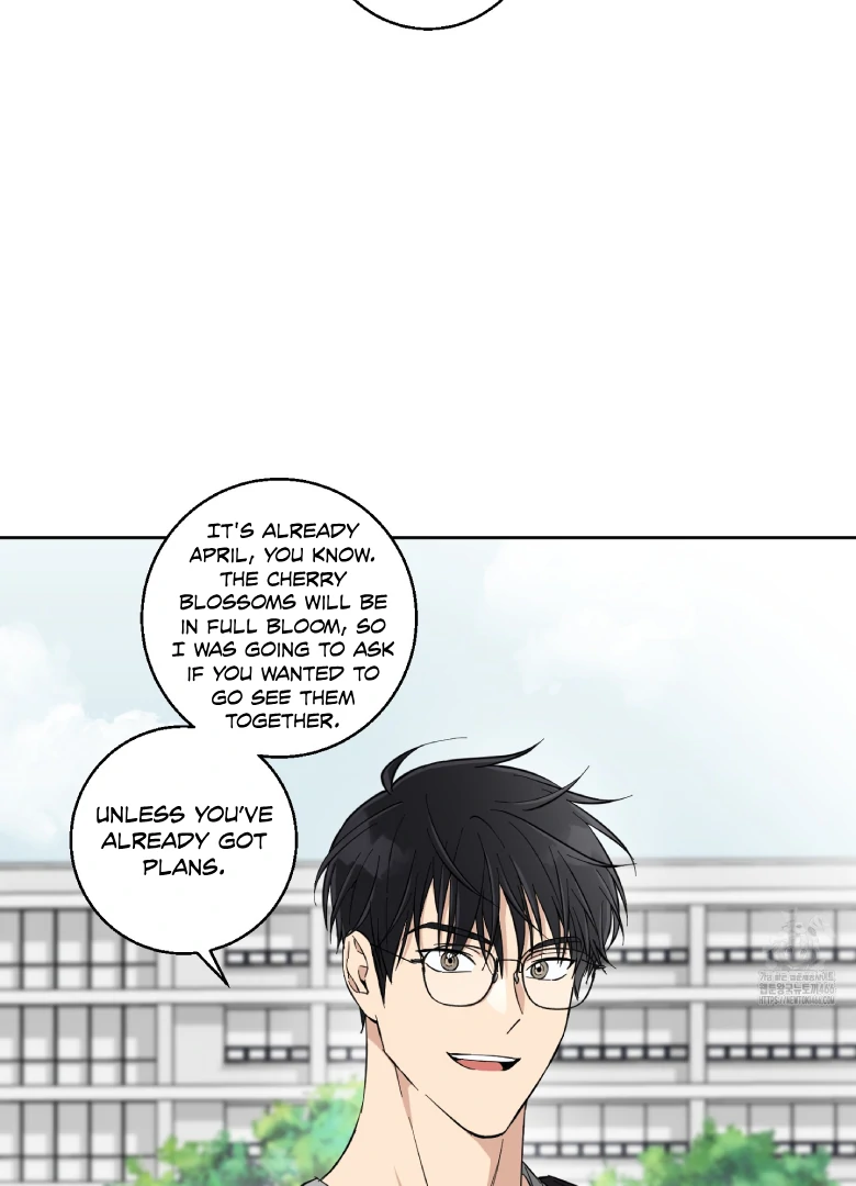 Melting Flirting Cookie (Mature) [Official] - Ch. 5 manhwa