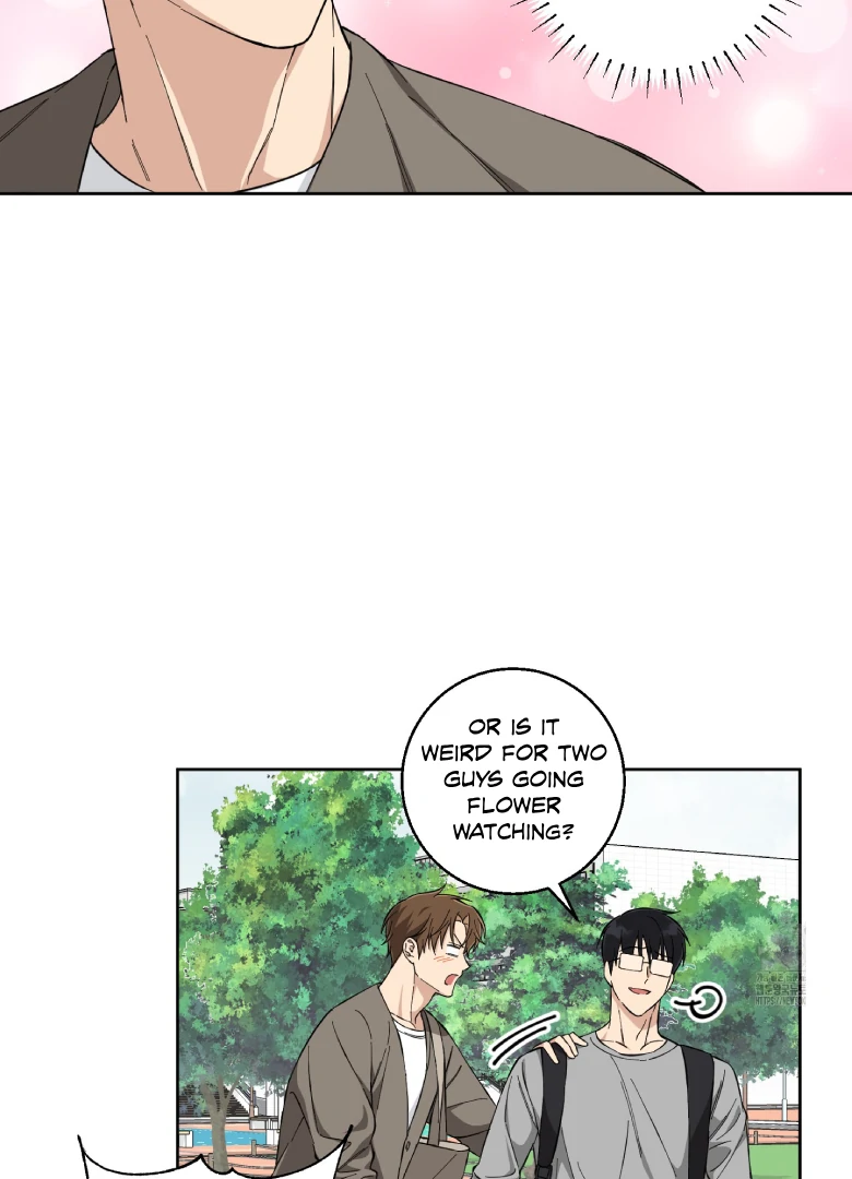Melting Flirting Cookie (Mature) [Official] - Ch. 5 manhwa