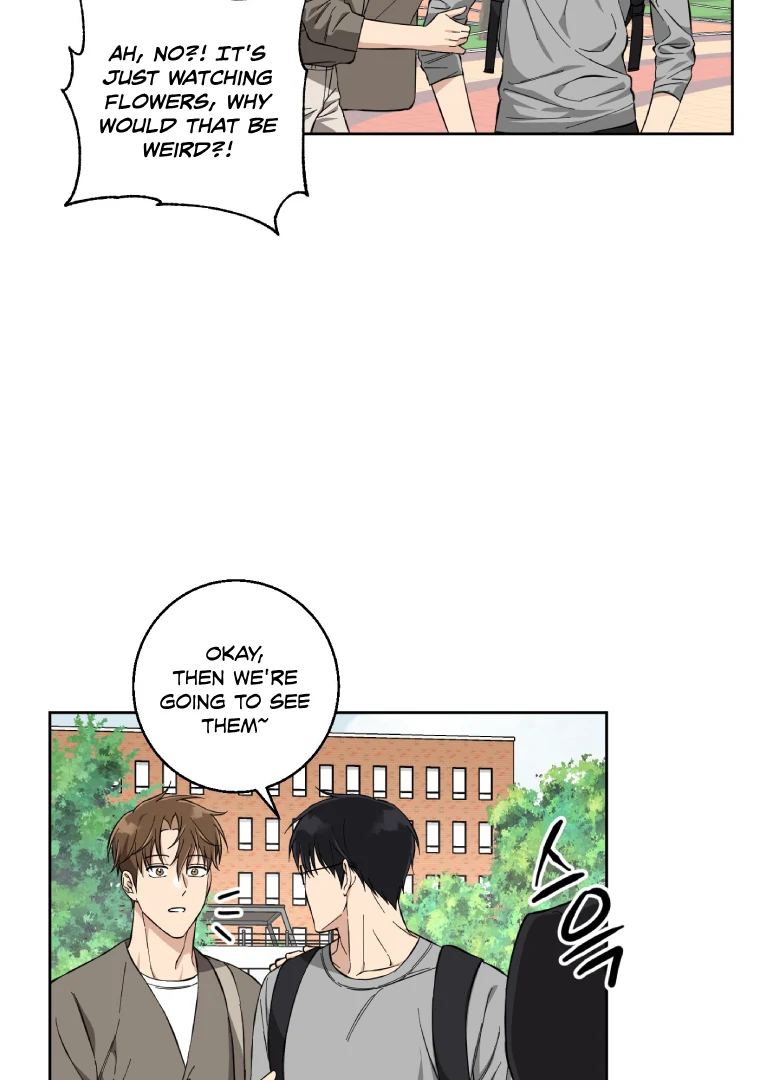 Melting Flirting Cookie (Mature) [Official] - Ch. 5 manhwa