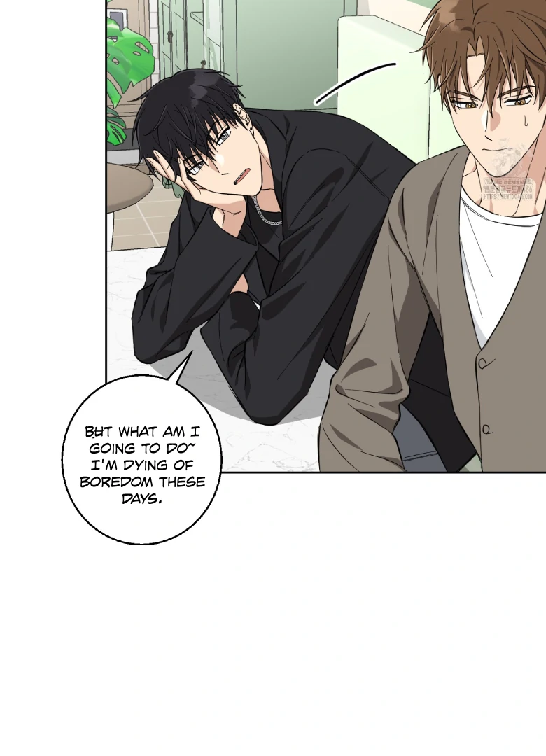 Melting Flirting Cookie (Mature) [Official] - Ch. 5 manhwa