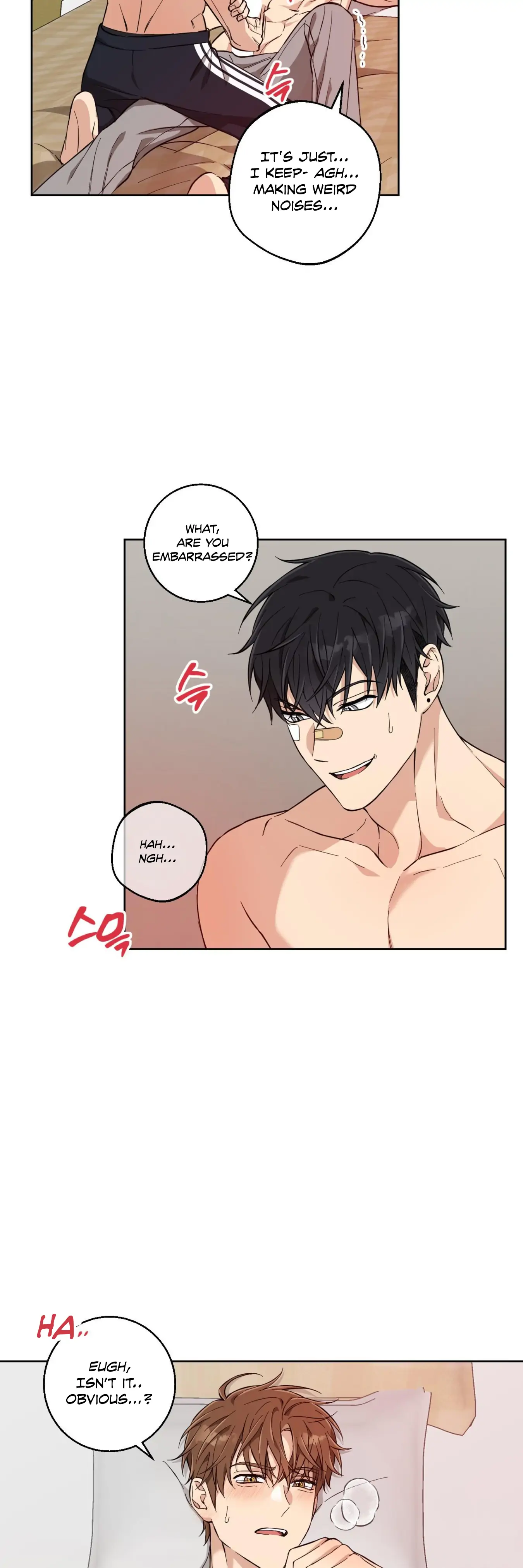Melting Flirting Cookie (Mature) [Official] - Ch. 7 🔞🔞🔞 manhwa