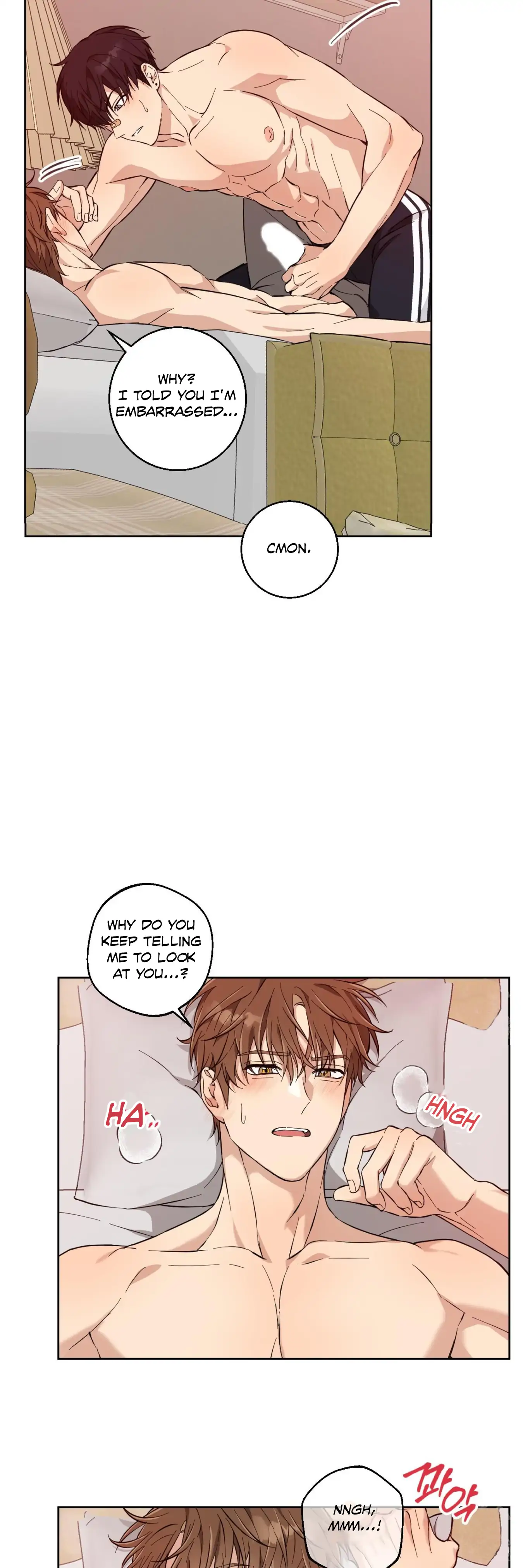 Melting Flirting Cookie (Mature) [Official] - Ch. 7 🔞🔞🔞 manhwa