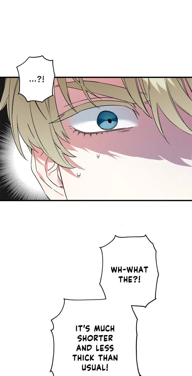 Well-hung Hero [Official] - Episode 1 manhwa