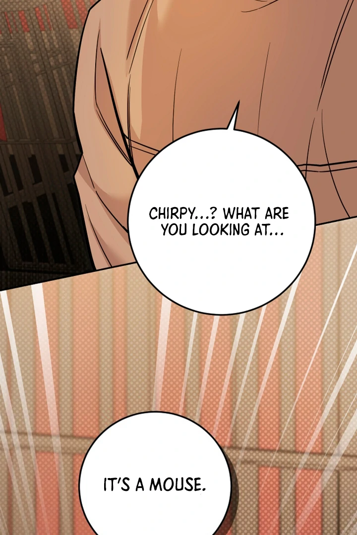 My Pet Rat is an S-Class Awakener [Kaizen Scan] - Chapter 14 manhwa