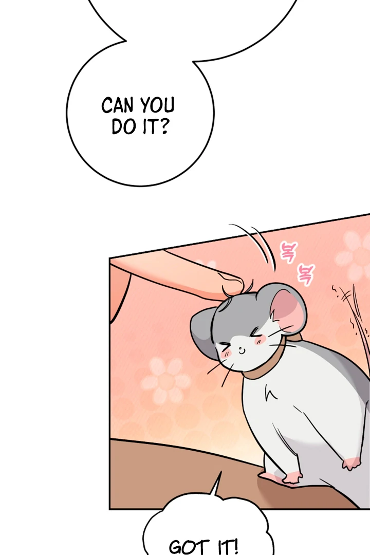My Pet Rat is an S-Class Awakener [Kaizen Scan] - Chapter 14 manhwa