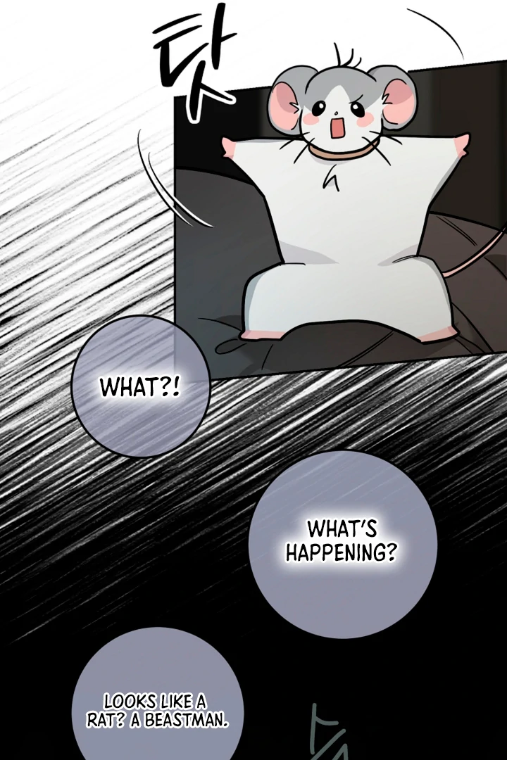 My Pet Rat is an S-Class Awakener [Kaizen Scan] - Chapter 14 manhwa