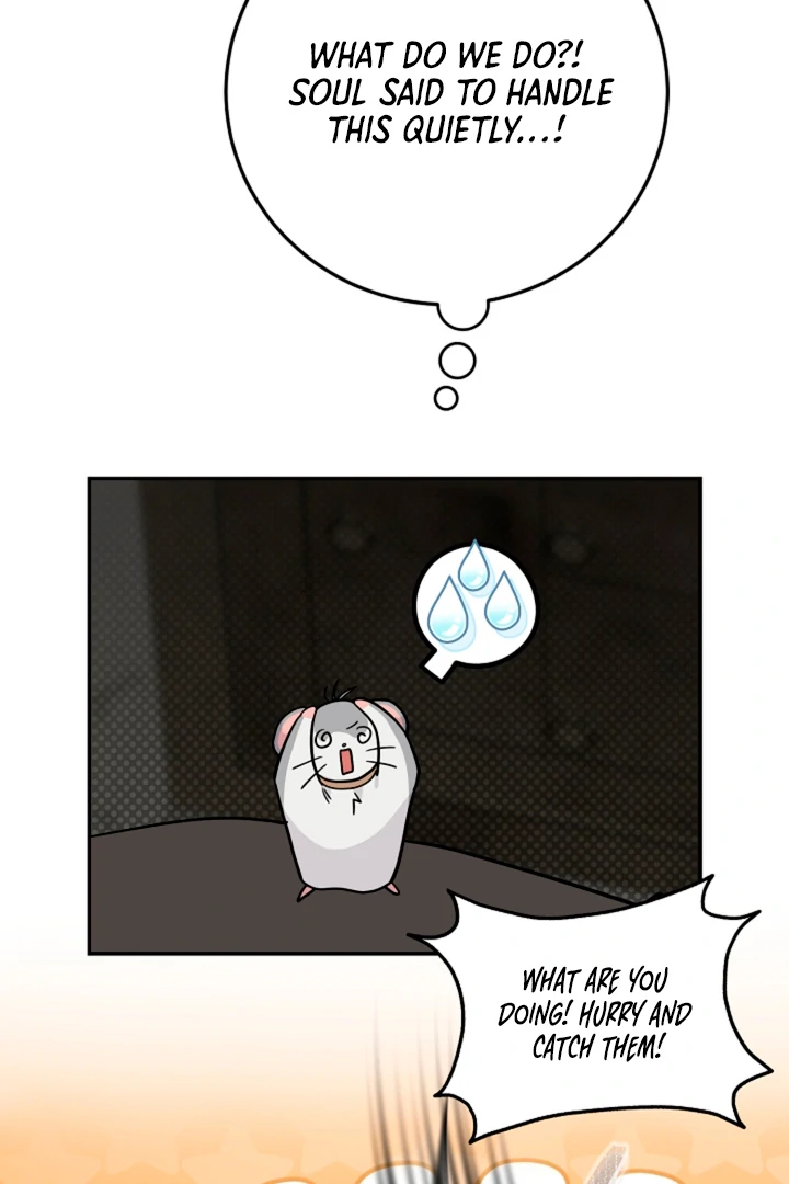 My Pet Rat is an S-Class Awakener [Kaizen Scan] - Chapter 14 manhwa