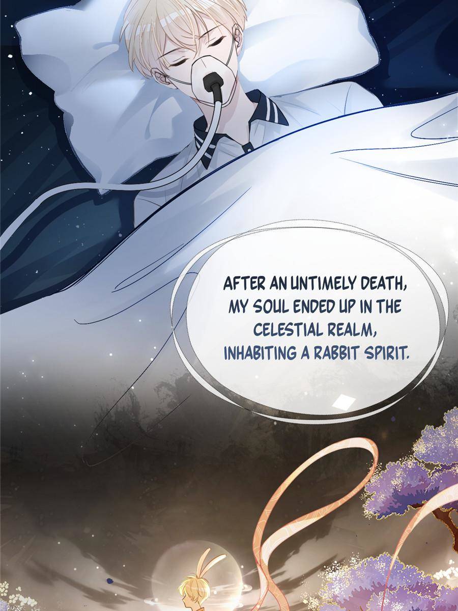Hooked on You: Infinite Worlds [Official] - 1. A Rabbit Spirit's Mission manhwa
