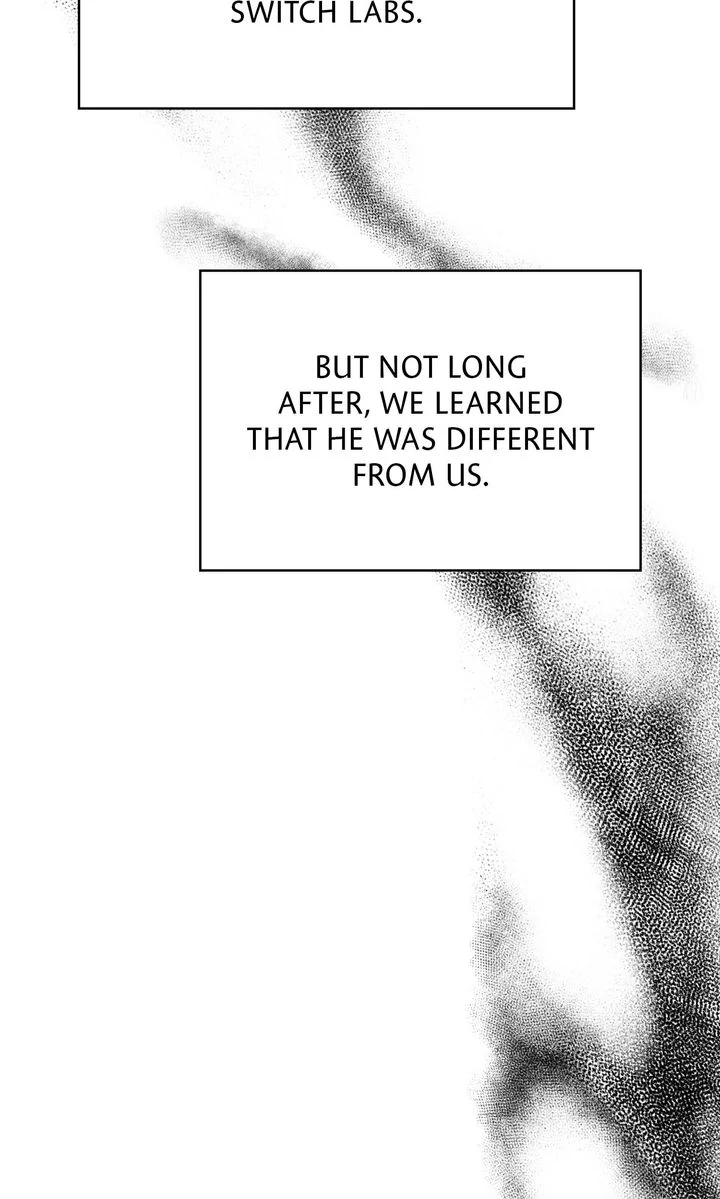 In Shadow - Chapter 13 manhwa