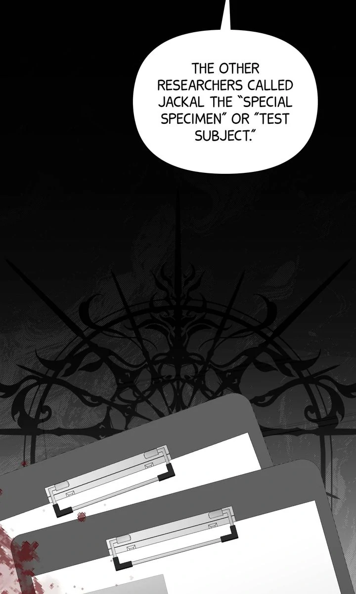 In Shadow - Chapter 13 manhwa