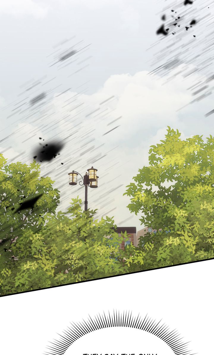 In Shadow - Chapter 15 manhwa