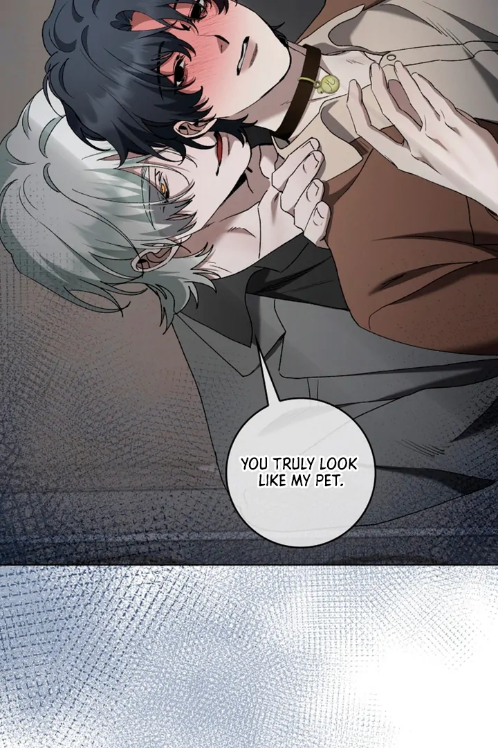 Love in Hell [Kaizen Scan] - Chapter 15 🔞🔞 manhwa