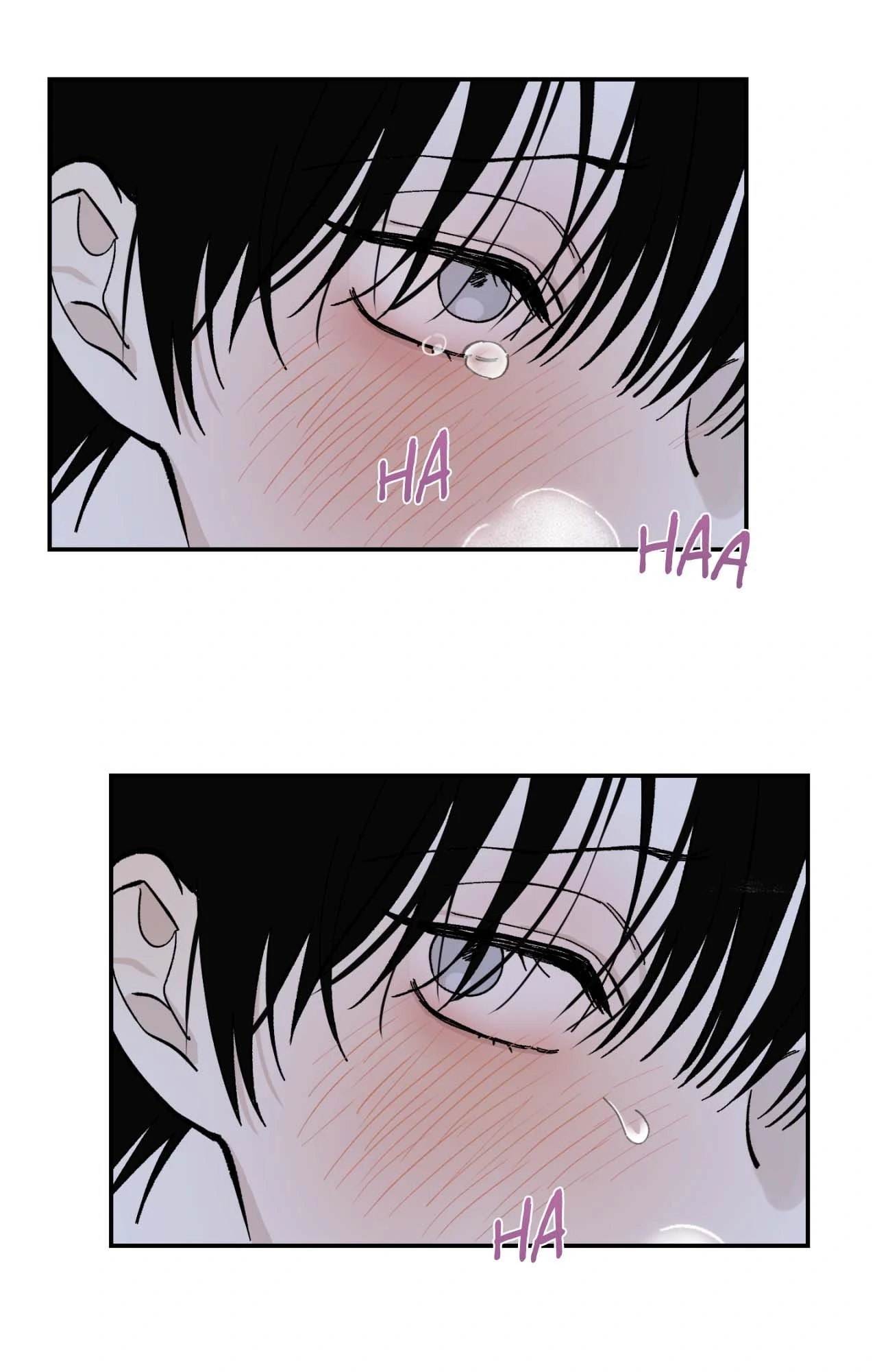 Maison [Official] - Chapter 12 manhwa