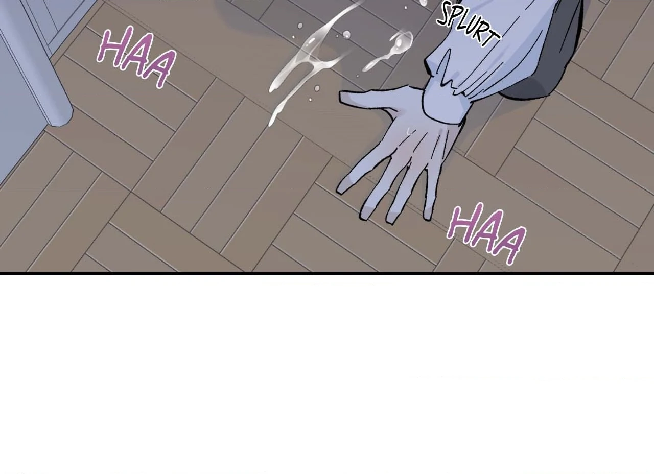 Maison [Official] - Chapter 16 manhwa