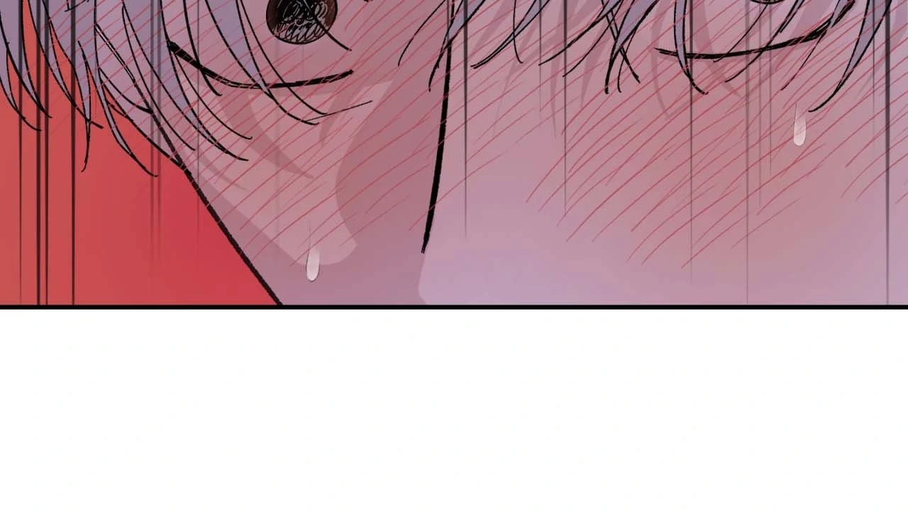 Maison [Official] - Chapter 17 manhwa
