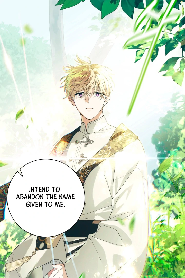 Patera [Kaizen Scan] - Chapter 1 manhwa