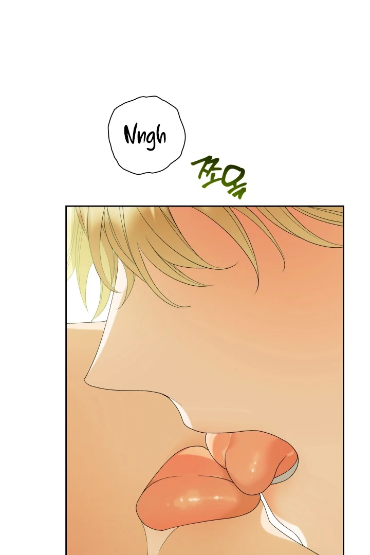 Patera [Kaizen Scan] - Chapter 8 🔞🔞 manhwa