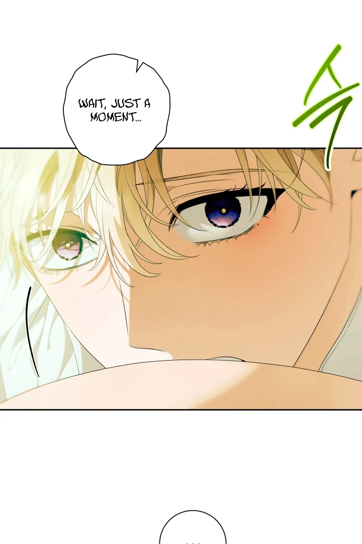Patera [Kaizen Scan] - Chapter 8 🔞🔞 manhwa