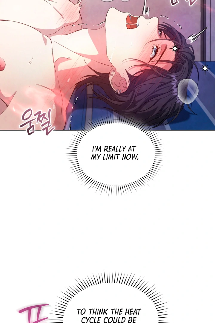 World of Conflict [Kaizen Scan] - Chapter 10 🔞🔞 manhwa