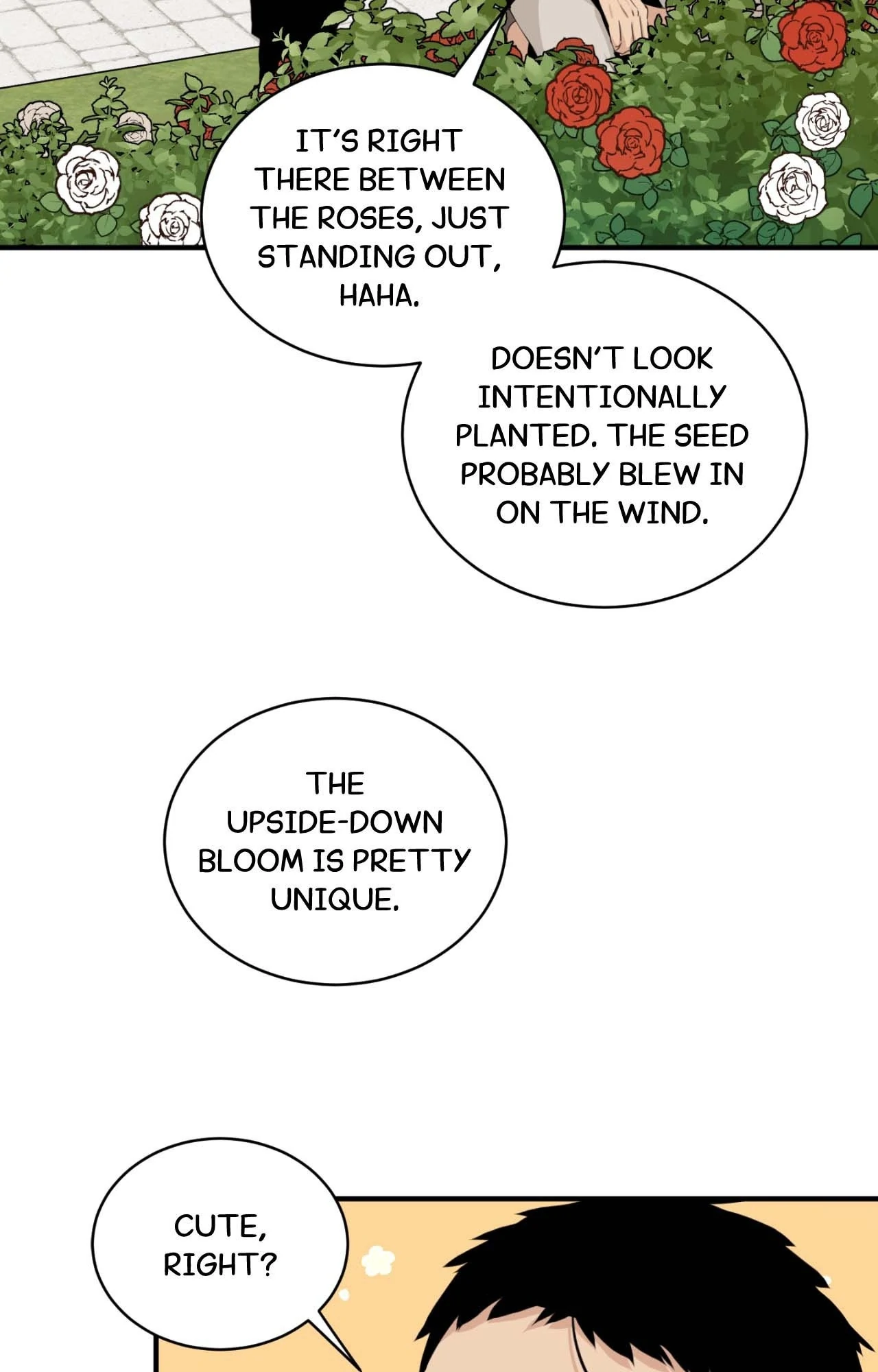 Nameless Flower (Official) - Chapter 23 manhwa