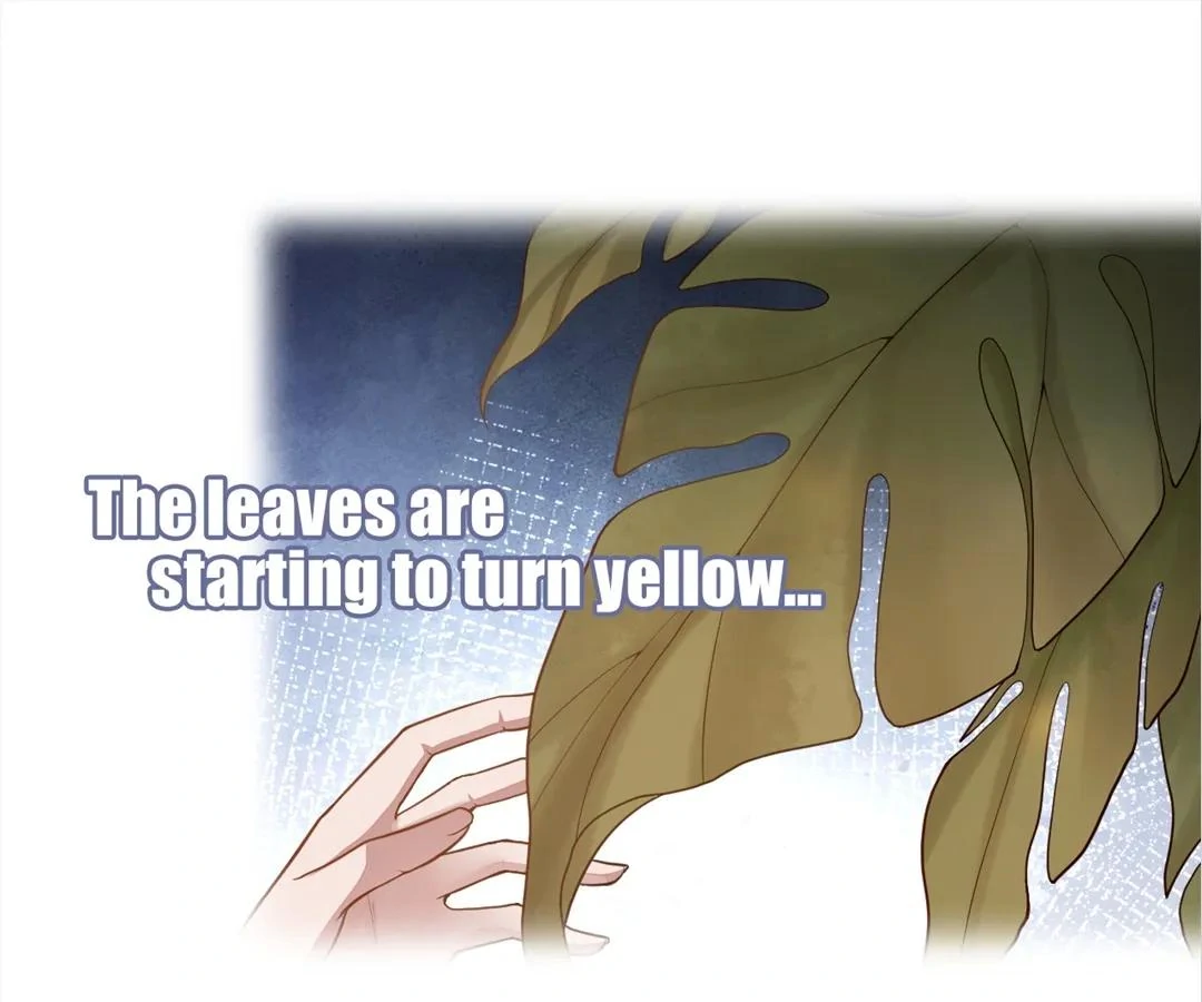 Borrowed Hearts (Official) - Chapter 27 manhwa