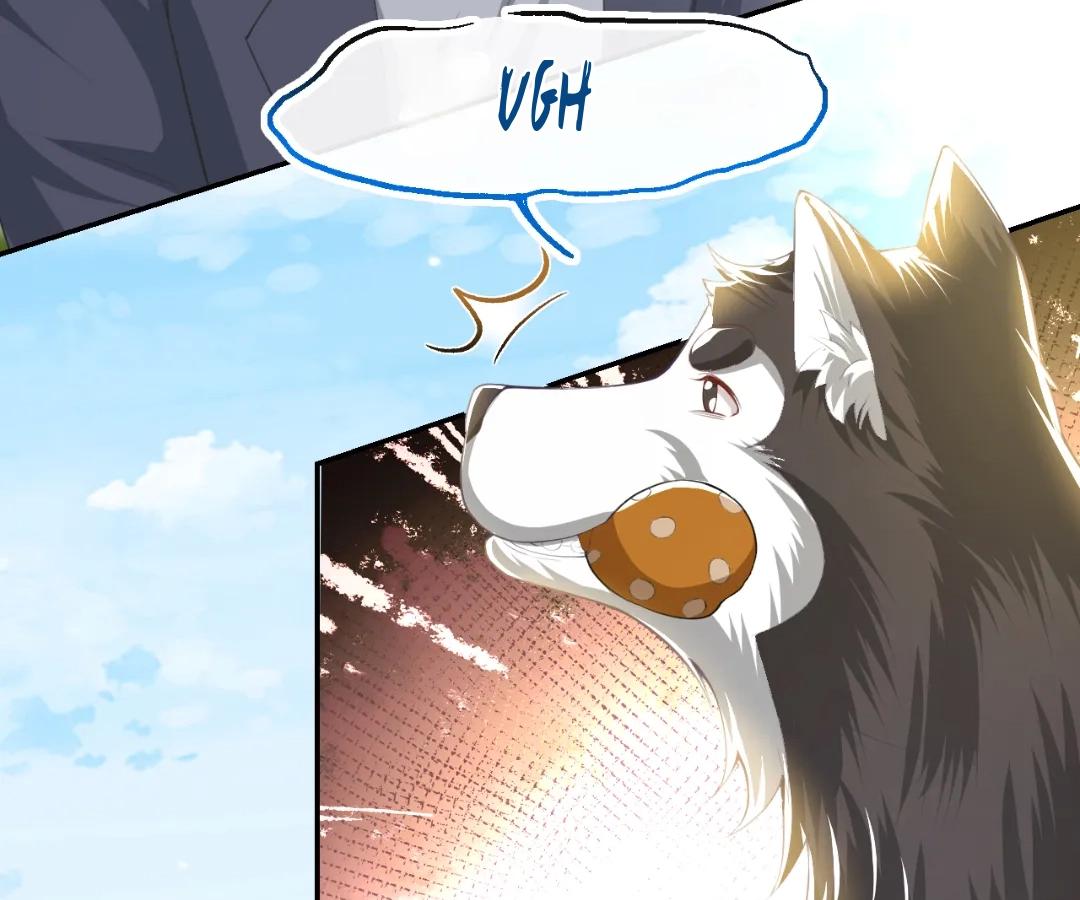 Borrowed Hearts (Official) - Chapter 68 manhwa