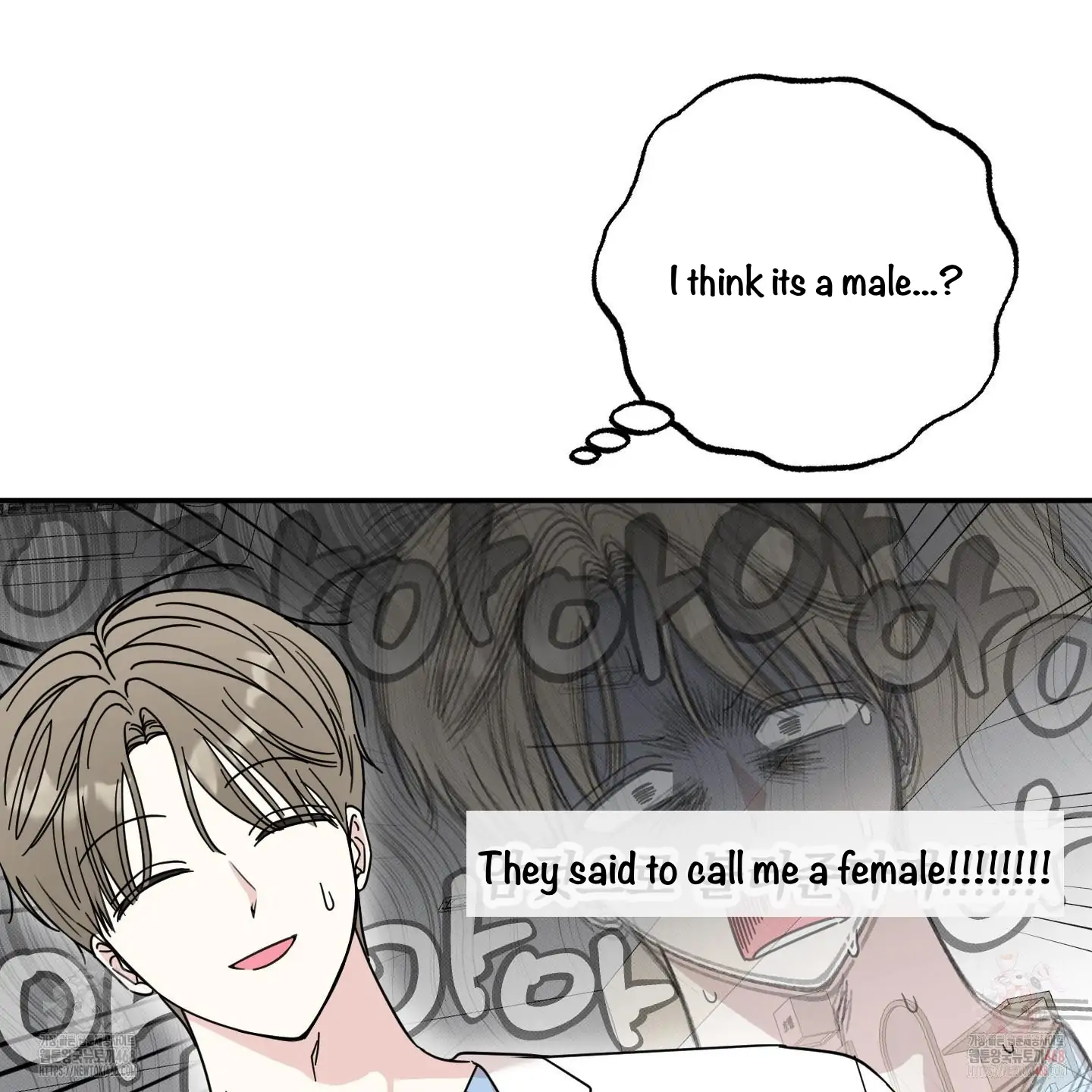 Taming A Cat Friend - Chapter 1 (fixed) manhwa