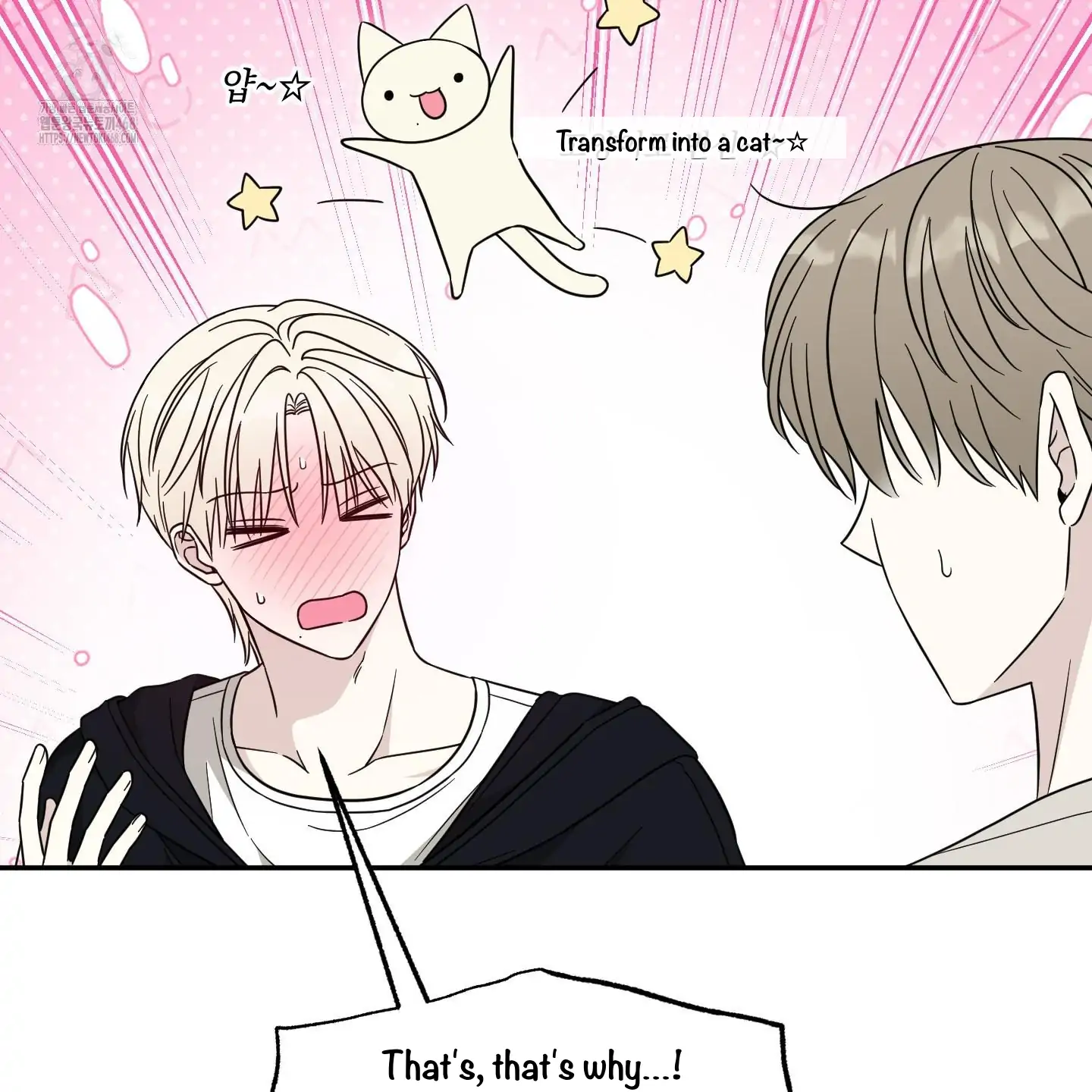 Taming A Cat Friend - Chapter 3 manhwa